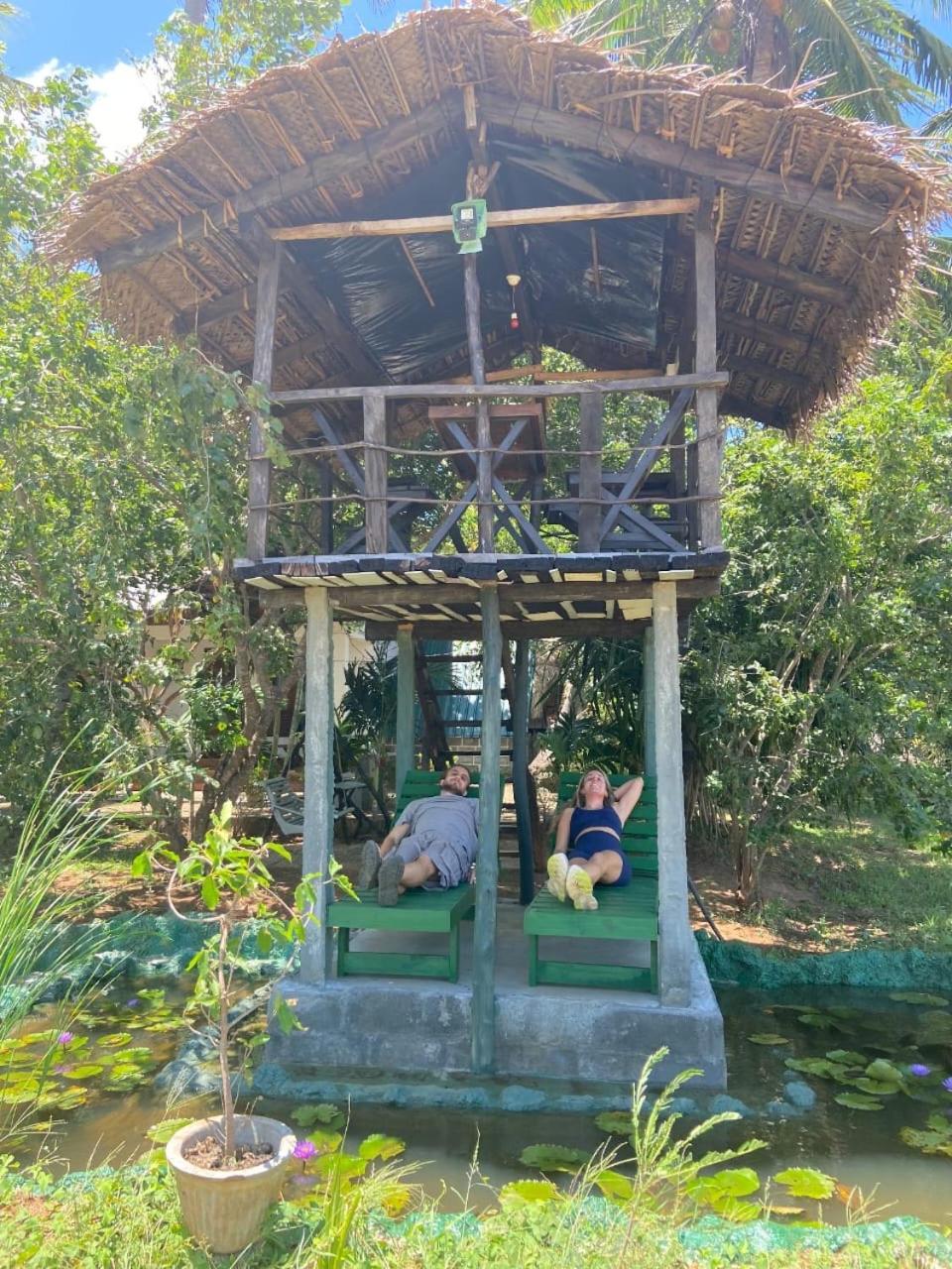 הבאראנה Lake Wind מראה חיצוני תמונה